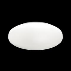 3017/DL PALE SN 171 Светильник пластик/белый LED 48Вт 4000K D400 IP43 SIMPLE