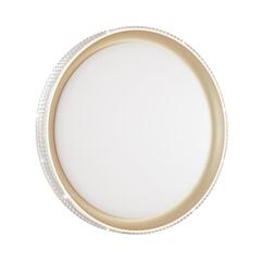 3054/EL PALE SN 132 Светильник пластик/белый/золотистый LED 72Вт 3000-6300K D490 IP43 пульт ДУ SHINY