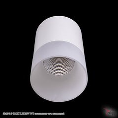 30410-9.5-001RT LED10W WT светильник точ. накладной