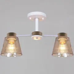 20560-0.3-02 WH+FG светильник потолочный Reluce, E27х2