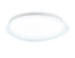 Светильник светодиодный потолочный FZ1605 FR матовый IP20 60W 5000K 510*100 (Без ПДУ)