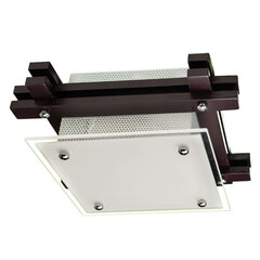 Потолочный светильник Arte Lamp ARCHIMEDE A6462PL-1CK, 1хE27