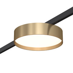 ST670.336.12 Магнитный трековый светильник Латунь LED 1*12W 3000K 500Lm Ra>80 100° IP20 D113xH34 24V