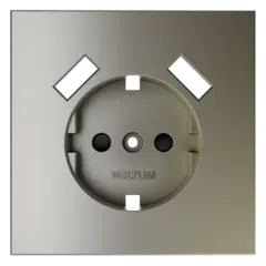 VLS000904 Накладка для розетки с заземлением и защитными шторками, с USB A+A, S70 (шелк). (ТМ Maytoni)