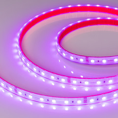 Светодиодная лента герметичная RTW-PS-B60-12mm 24V RGB (14.4 W/m, IP67, 5060, 50m) (Arlight, 14.4 Вт/м, IP67)
