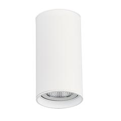 ST157.542.15 Светильник потолочный Белый LED 1*15W 4000K 1 200Lm Ra>90 60° IP44 D75xH140 220-265V