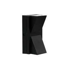 Фасадный светильник Arte Lamp GUNTER A6306AL-2BK, 2хLED