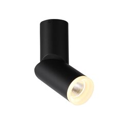 ST107.402.10 Светильник потолочный Черный LED 1*10W 3000K 780Lm Ra>80 24 D50xH168 170-240V