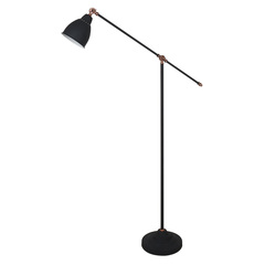 Торшер Arte Lamp BRACCIO A2054PN-1BK, 1хE27