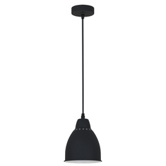 Подвесной светильник Arte Lamp BRACCIO A2054SP-1BK, 1хE27