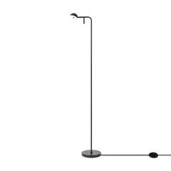 Напольный светильник (торшер) FR5549FL-L5B, FR5549FL-L5B. TM Maytoni