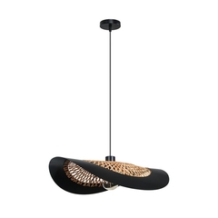 Подвесной светильник Arte Lamp WOODSTOCK A7059SP-1BK, 1хE27