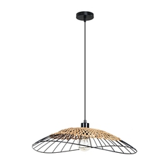 Подвесной светильник Arte Lamp WOODSTOCK A7061SP-1BK, 1хE27