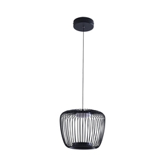 Подвесной светильник Arte Lamp FLARE A3529SP-12BK, 1хLED