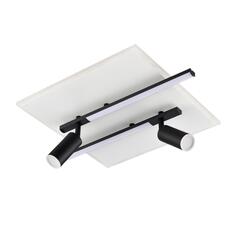 8256/40CL LEDIO белый/черный, металл/пластик Светильник потолочный LED 40W  3000/4000/6500К 220V STELLS