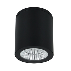Уличный потолочный светильник Arte Lamp TORCULAR A1813PF-1BK, 1хLED