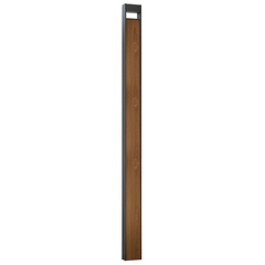 Ландшафтный светильник Arte Lamp ARNEB A2140PA-1BR, 1хLED