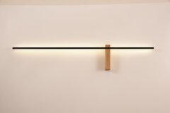 Декоративная подсветка Arte Lamp PHOENIX A2025AP-1PB, 1хLED