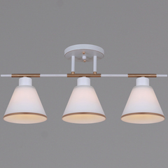 07594-0.3-03 WG светильник потолочный