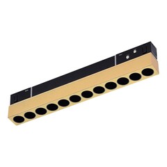 ST806.246.12 Магнитный трековый светильник Золотистый LED 1*12W 4000K 550Lm Ra>90 36° IP20 L220xW22xH44 48VV