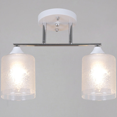 69160-0.3-02 WH+BK светильник потолочный