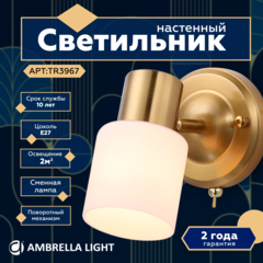 Накладной спот с выключателем TR3967 BS/FR латунь/белый матовый  E27 max 40W 140*80*194