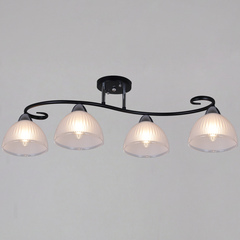 66360-0.3-04 BK+CR светильник потолочный