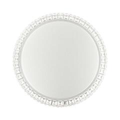 2036/DLN PALE SN 197 Светильник пластик/белый/прозрачный LED 48Вт 3000/4000/6000K D400 IP43 CCT BRISA