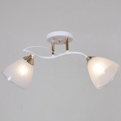 64460-0.3-02 WH+FG светильник потолочный