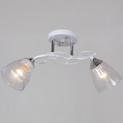 55560-0.3-02 WH+CR светильник потолочный