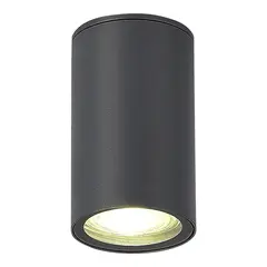 SL9010.712.01 Светильник уличный потолочный ST-Luce серый GU10 1*50W