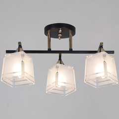 46460-0.3-03 BK+FG светильник потолочный