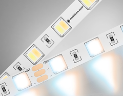 Светодиодная лента с регулировкой температуры света GS4101 5050 60Led/ 14W m/ 24V IP20 CCT 3000-6500K/ 5000*10*1.87mm/ кратность резки 25mm (3 конт.)