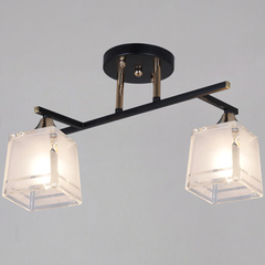 46460-0.3-02 BK+FG светильник потолочный