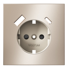 VLSM001010 Накладка для розетки с заземлением и защитными шторками, с USB A+C, S70 Metal (платина). (ТМ Maytoni)