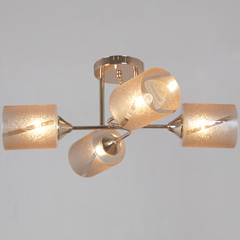 51460-0.3-04 FG светильник потолочный