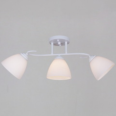 44560-0.3-03 WH светильник потолочный