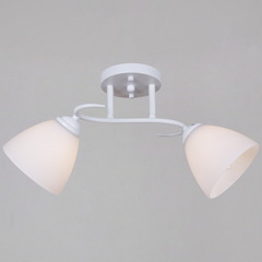 44560-0.3-02 WH светильник потолочный