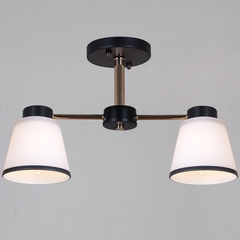 30560-0.3-02 BK+FG светильник потолочный