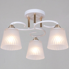 06360-0.3-03 WH+FG светильник потолочный