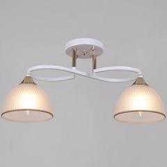 68560-0.3-02 WH+FG светильник потолочный