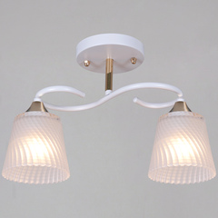 06360-0.3-02 WH+FG светильник потолочный