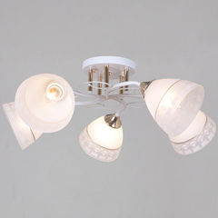 11460-0.3-05 WH+FG светильник потолочный