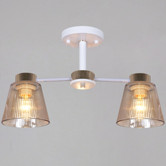 20560-0.3-02 WH+FG светильник потолочный