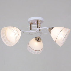 11460-0.3-03 WH+FG светильник потолочный