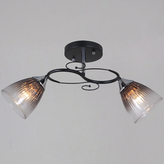 13560-0.3-02 BK+CR светильник потолочный