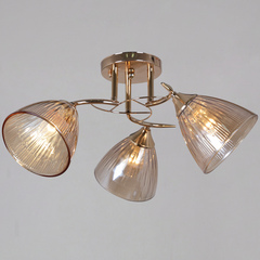 02560-0.3-03 FG светильник потолочный