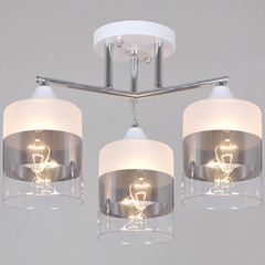 06916-0.3-03 WH+CR светильник потолочный