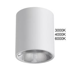 7139/12CL HIGHTECH ODL26 Потолочный светильник белый/металл IP20 LED 12W 840Лм 3000K/4000K/6000K  36° 220-240V BRIM