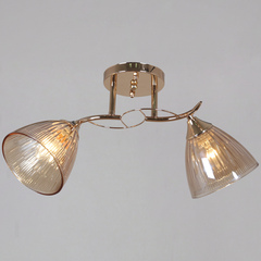 02560-0.3-02 FG светильник потолочный